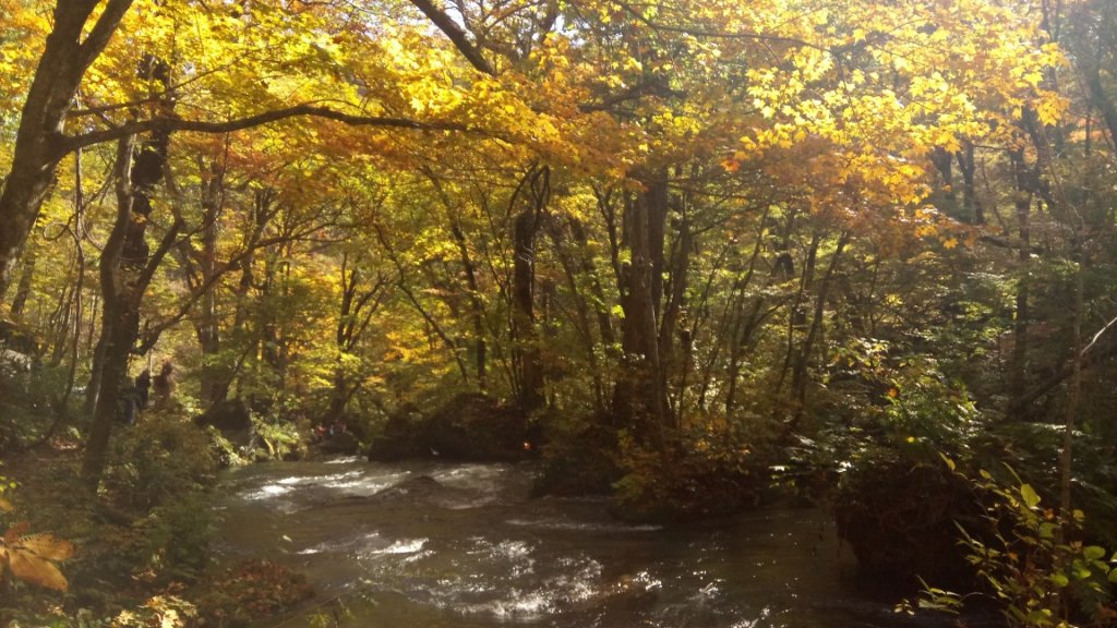 奧入瀨溪健行_444384