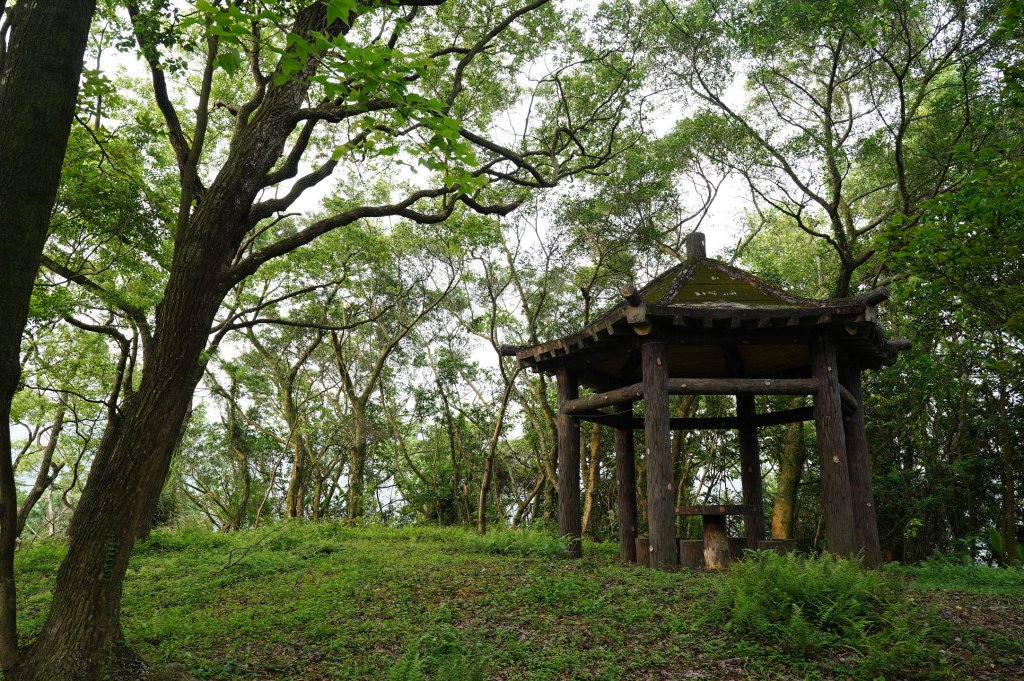 臺北 文山 指南山、猴山岳、魚衡山、大前坑山、猴山坑山、祥光寺後山、金頭山_2774958
