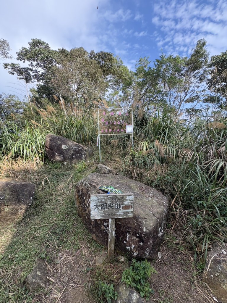 20251122大湖尖山步道(啟登直上第三涼亭)_2944535