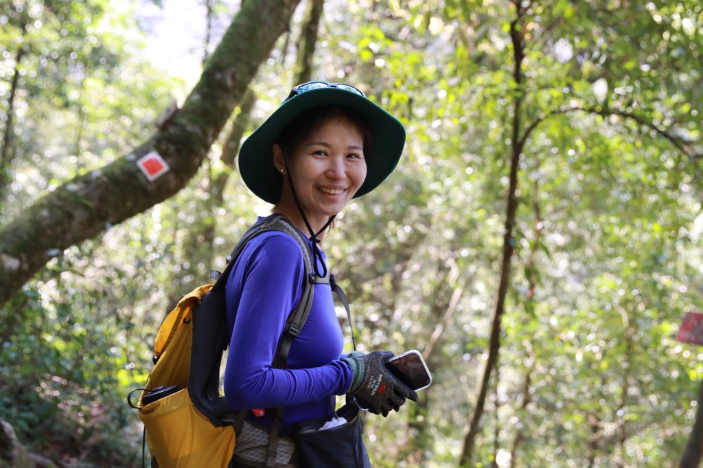 北插山腳散步之赫威神木群_2757678