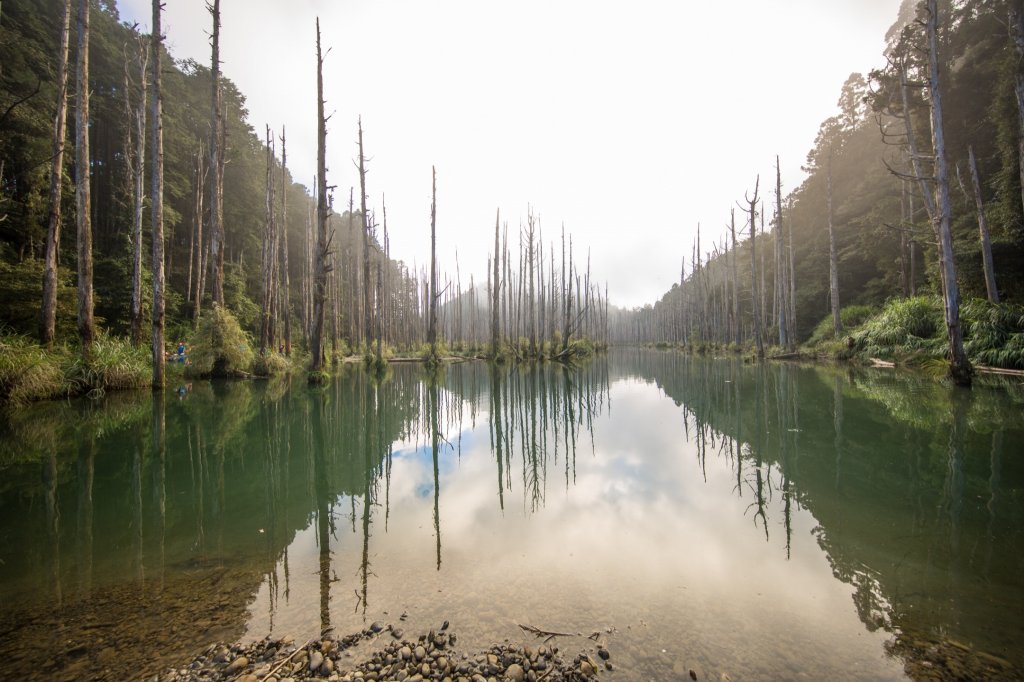 水樣森林 第一次在山裡過夜_659144