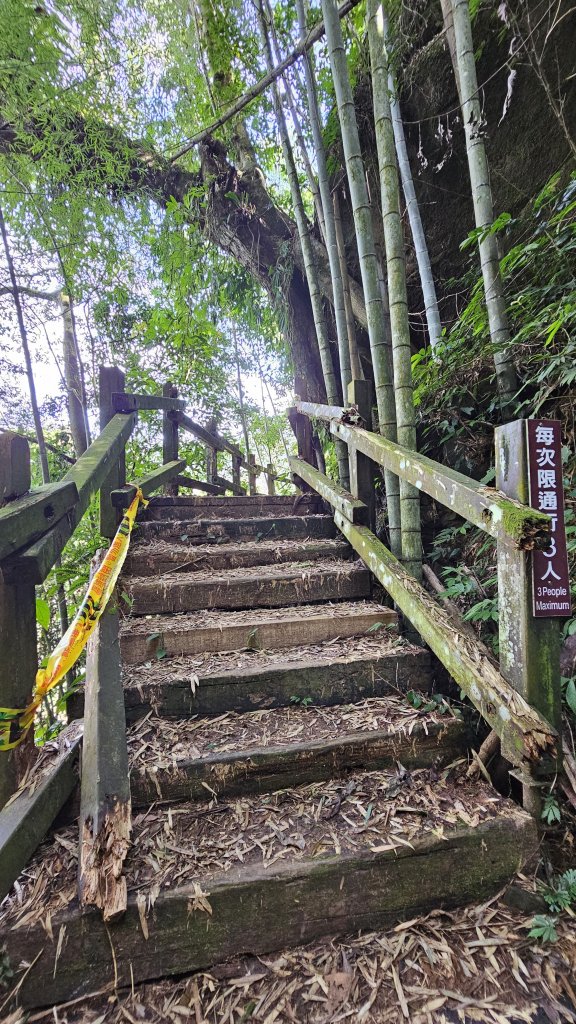 【四大天王山O型縱走未竟之旅：封山中的靜謐與省思】解鎖嘉義竹崎四大天王山、知鳥山。_2929911