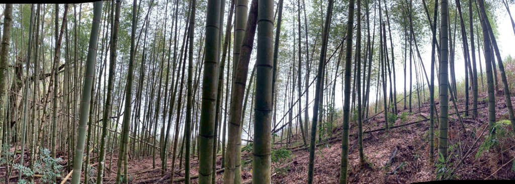 20251220嘉義凸龜山-芙蓉山-天福山封面圖