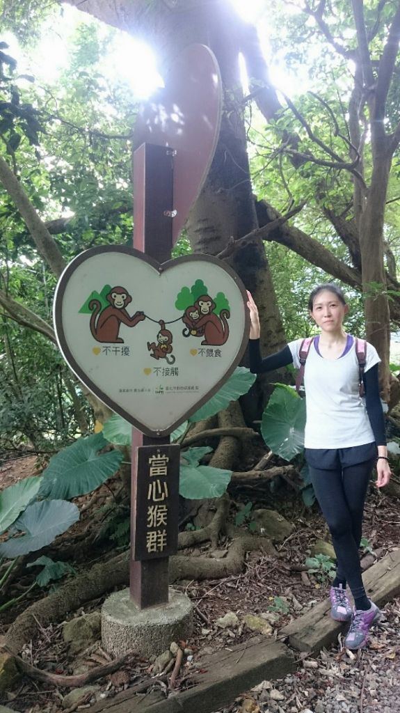 天母水管路步道～台灣獼猴不期而遇_315859