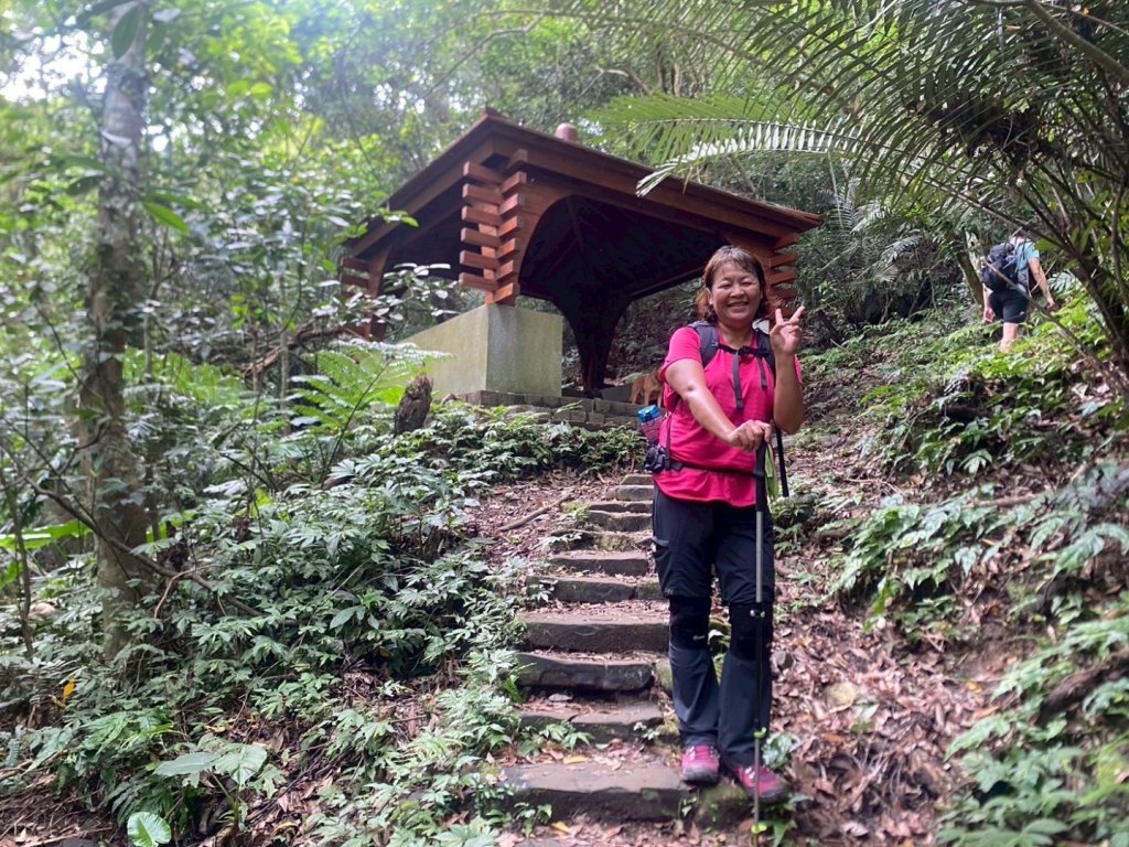 苗栗縣獅潭鄉鳴凰古道O型縱走_2803652