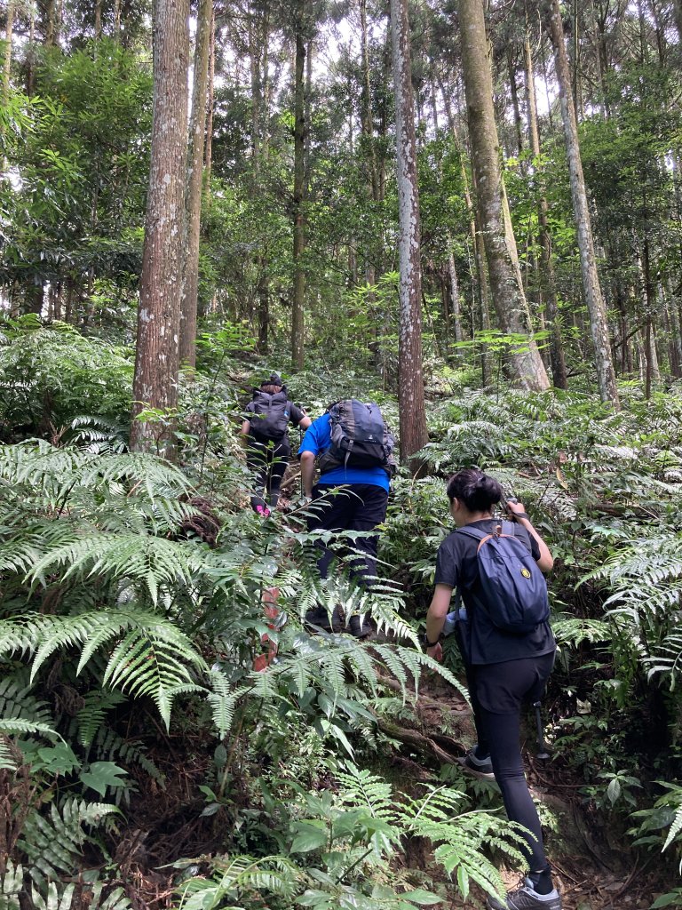 向天湖山_2523029