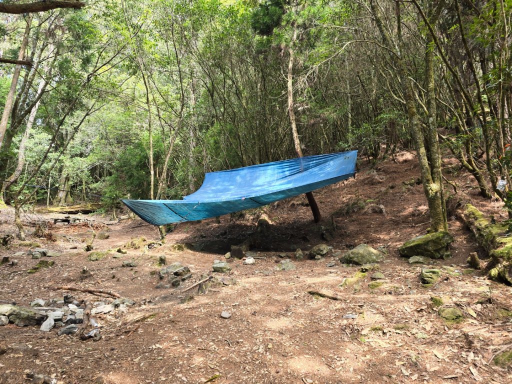 郡大神木群一日行_2440579