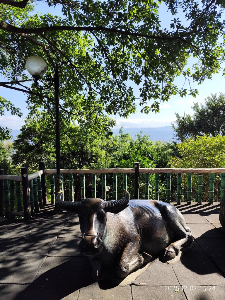 【臺北大縱走 5】碧山巖→忠勇山越嶺步道→金龍產業道路→圓明寺步道→鄭成功廟→潛園→格物台→劍潭古寺_2958966
