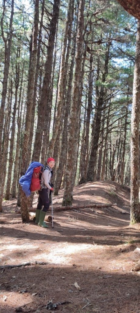 中央尖山_1516599