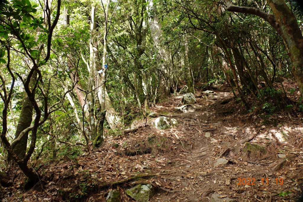 南投 信義 西巒大山_1922304