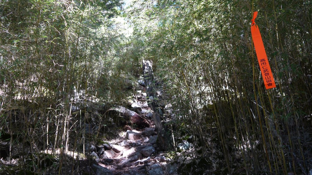 池有山單攻登山健行趣(百岳52)_1515329