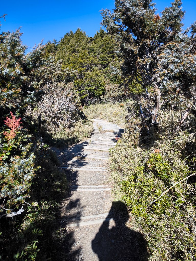 2026-02-09 庫哈諾辛山_2998898