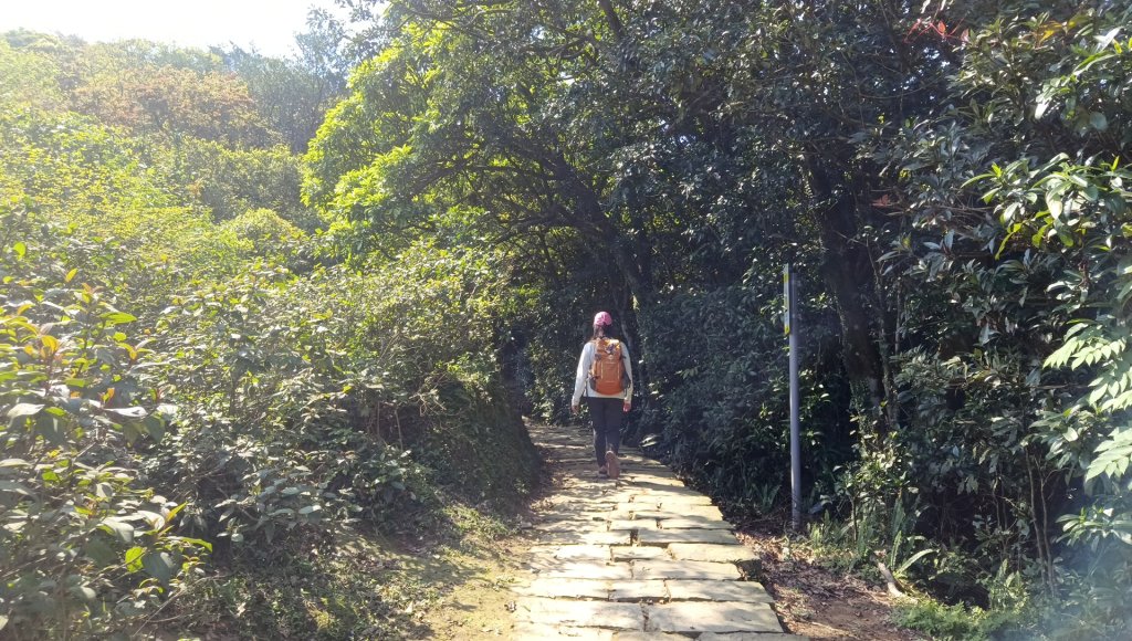(姨婆趴趴走)第四十八集:新北草嶺古道（福隆車站-大里車站）_2747663