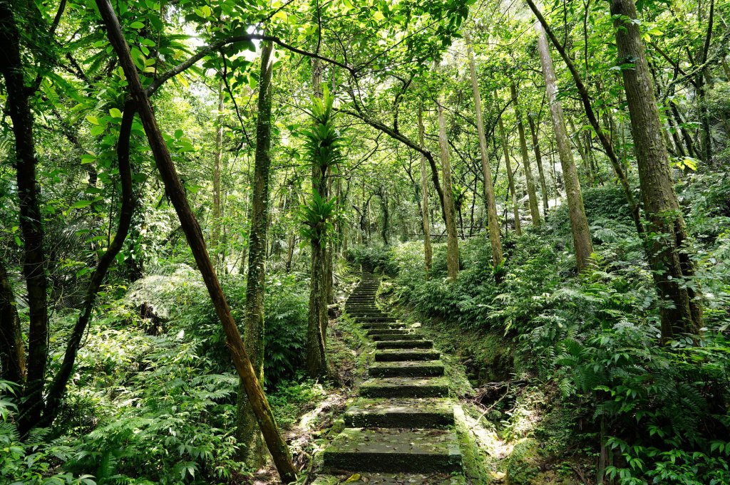 新北 平溪 薯榔尖、石筍尖、魔神仔洞_2772578