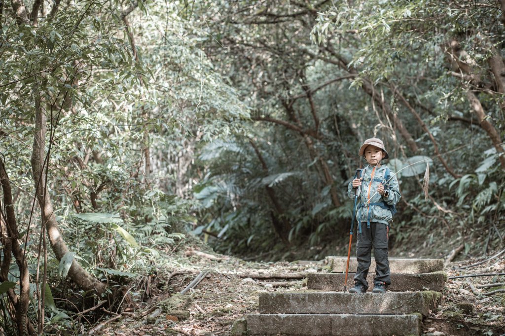 菅芒浪白｜五分山_2356493