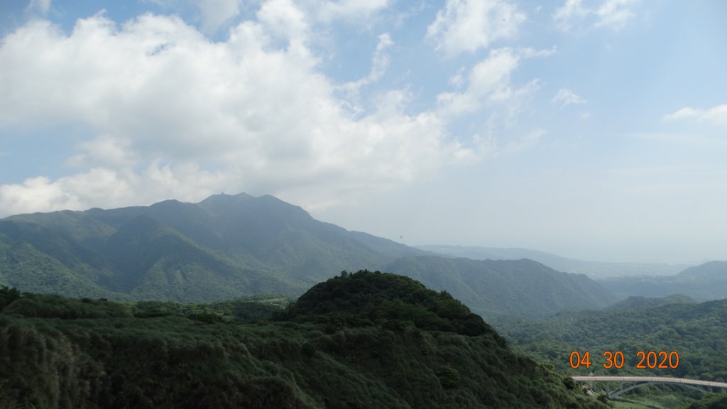 陽明山賞蝶趣_940458