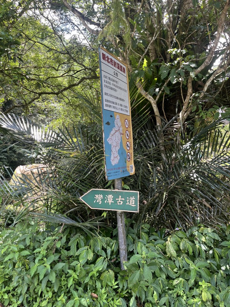 [淡蘭古道] 2024_0622 中路第五段-灣潭古道_2533963
