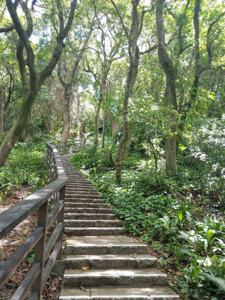 捷運劍潭站→捷運劍南站《劍潭山(小百岳)、老地方觀機平台、雞南山自然園區》_1449999