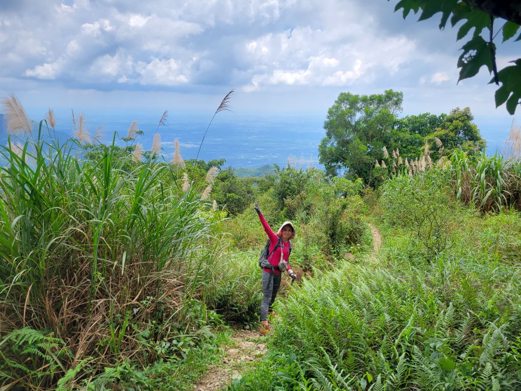 【瑪家五連峰緃走】白賓山緃走笠頂山_1746100