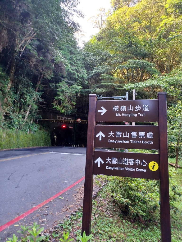 【台中和平】筆直的杉林.林相優美。 橫嶺山x沙連山P型_2869013
