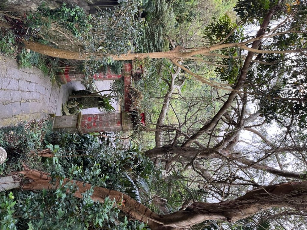 觀音山硬漢嶺_2532197
