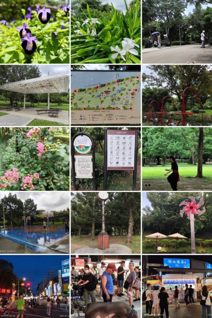 大安森林公園、寧夏夜市、士林夜市【走路趣尋寶】【臺北健走趣】_2543223