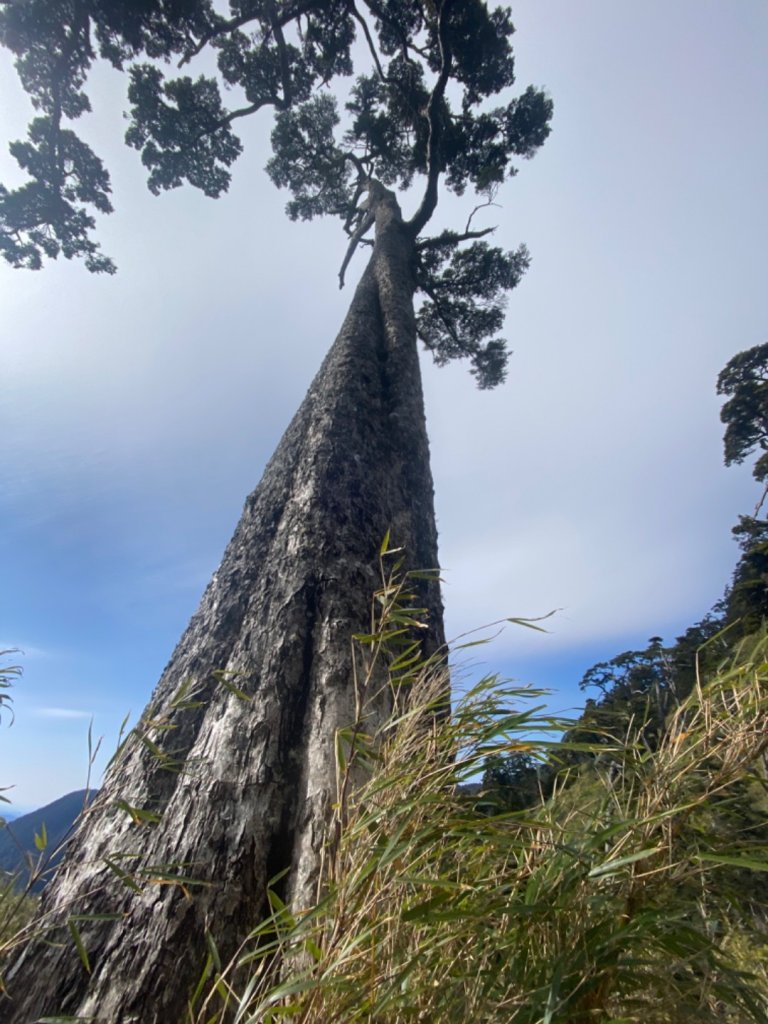 一日單攻白姑大山_821514