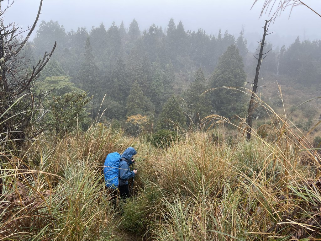 【宜蘭】加羅湖｜兩天一夜的野營生活，又是雨鞋出場的時候啦！_1663395