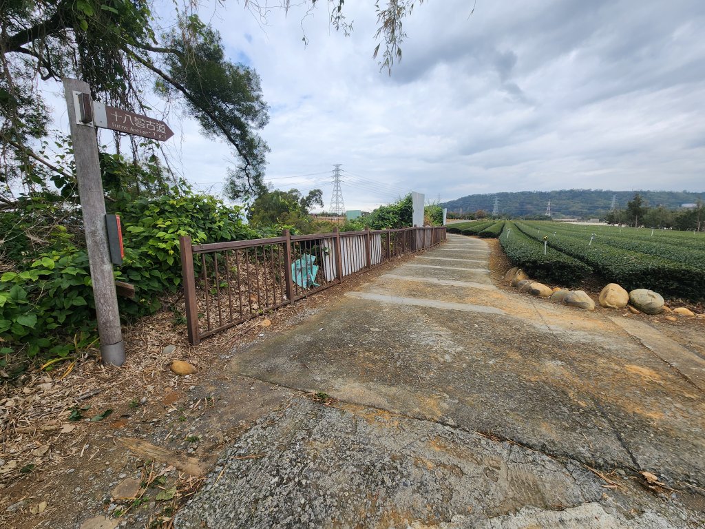 20250223田中大小劍與橫山_2939861