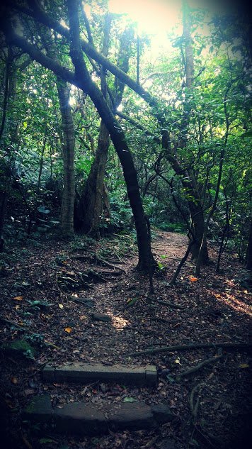 2019 8/17 海興步道_876479