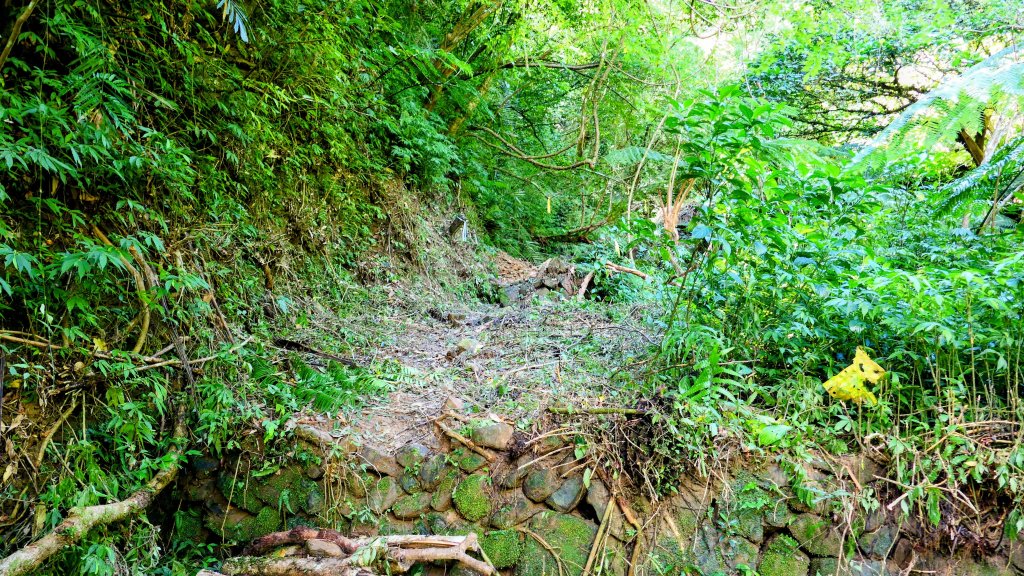 中坑古道東山西山_2896473