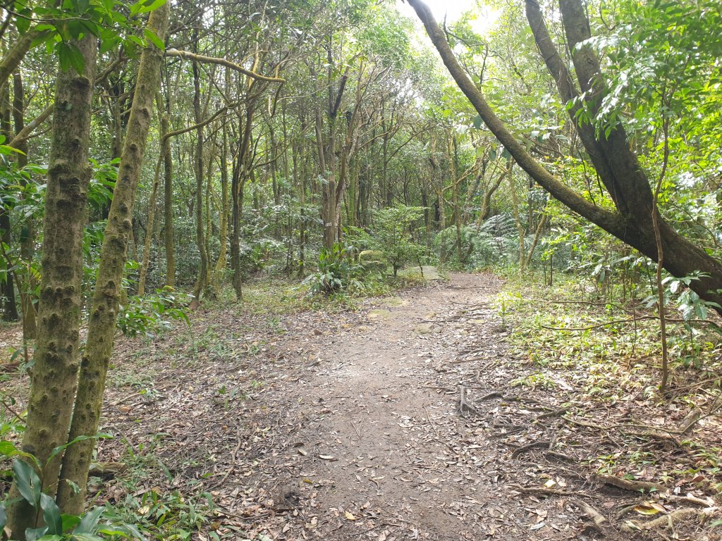 臺北大縱走第四段_1515991