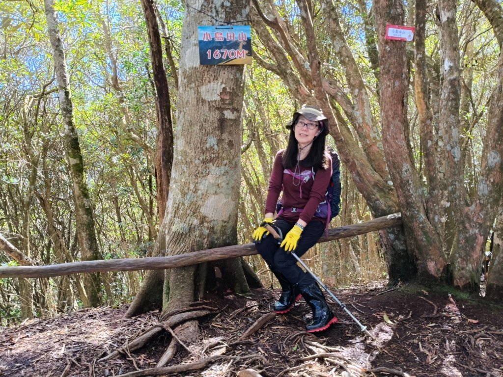 高島縱走20250215_2713780