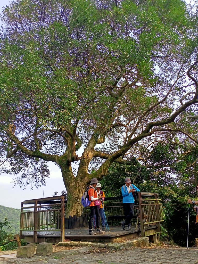 【臺北大縱走 4】2-2 許願步道→碧山路→白石湖吊橋→圓覺寺步道→圓覺瀑布→大溝溪生態治水園區_2113662