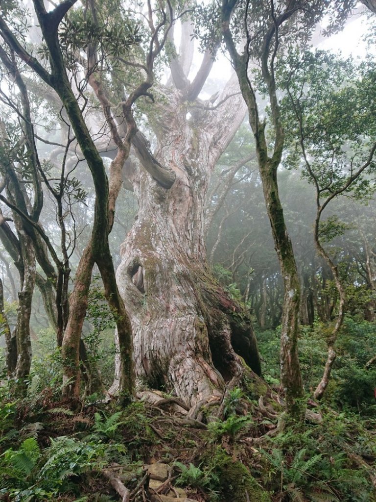 南插天山_1725579