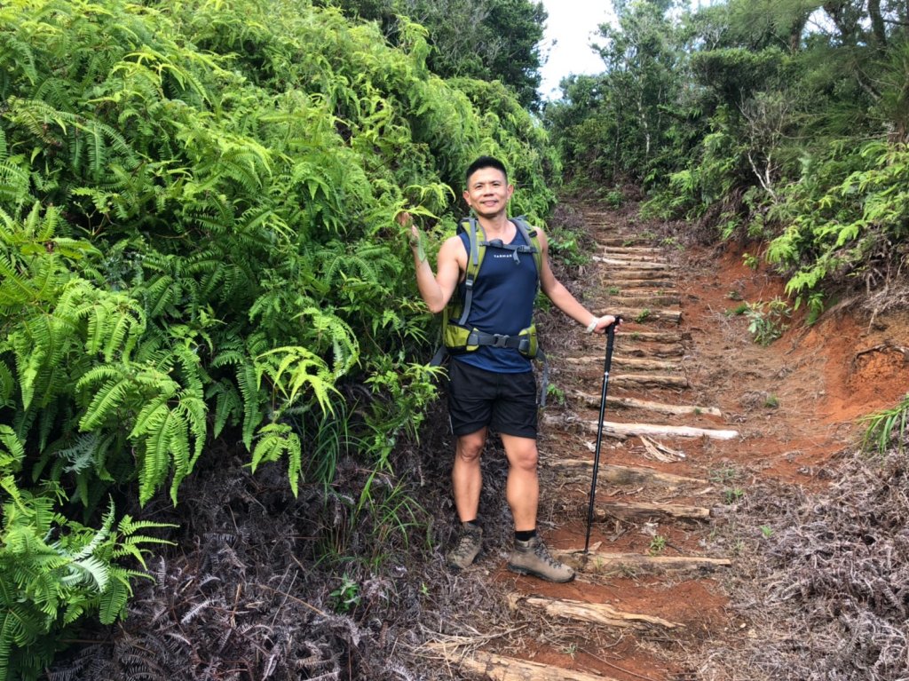 過山古道.阿眉山.觀海步道【上山下海玩遍_655368