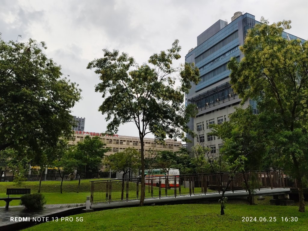 大安森林公園【走路趣尋寶】；大港墘公園、瑞陽公園【臺北健走趣】_2535179