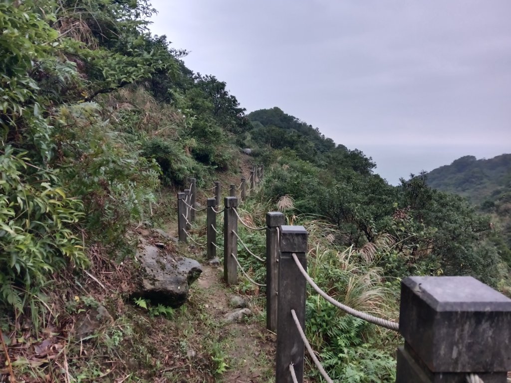瑞芳區本山地質公園步道+草山公路+百二崁古道+樹梅坪古道O型_2945545