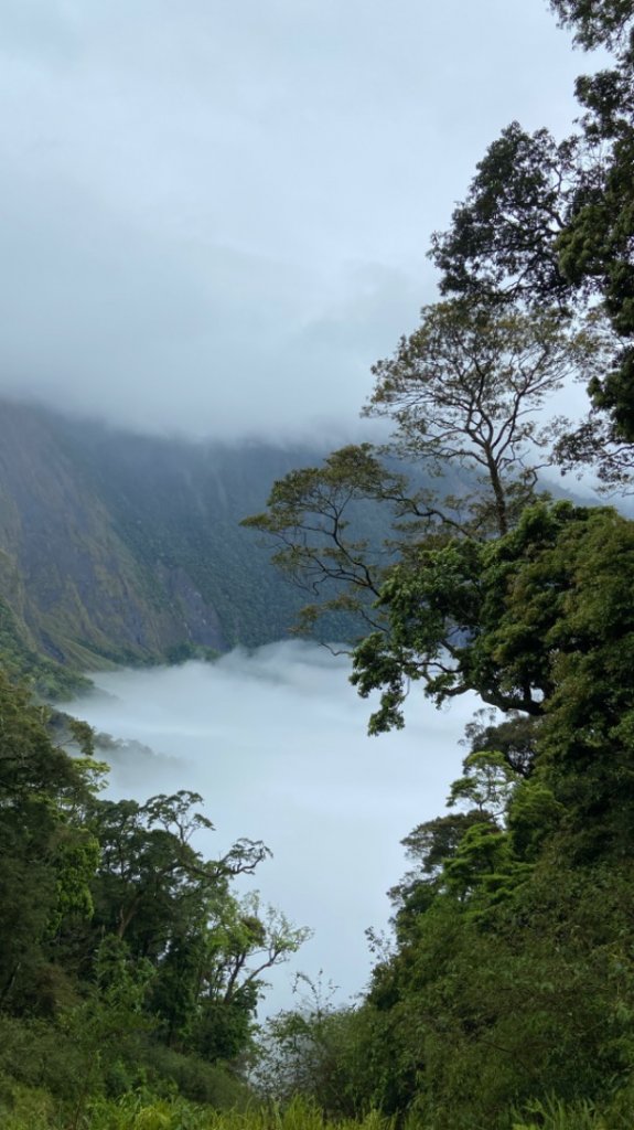 單攻北大武山_1662488