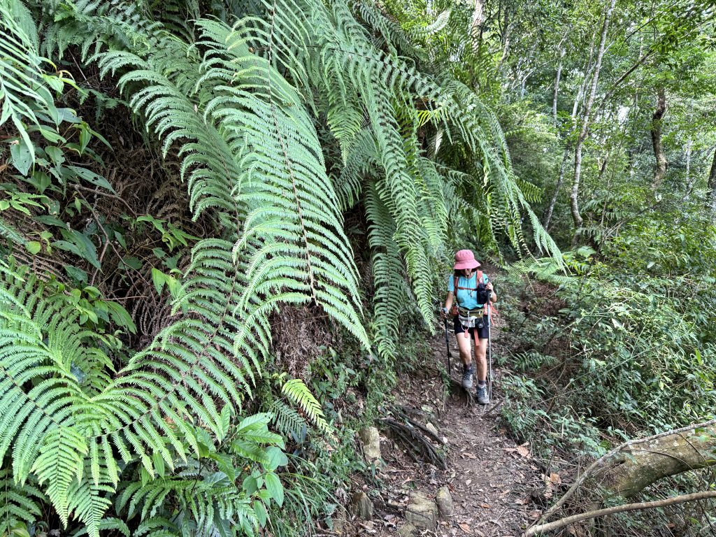 唐麻丹+蝴蝶谷O繞_2887838