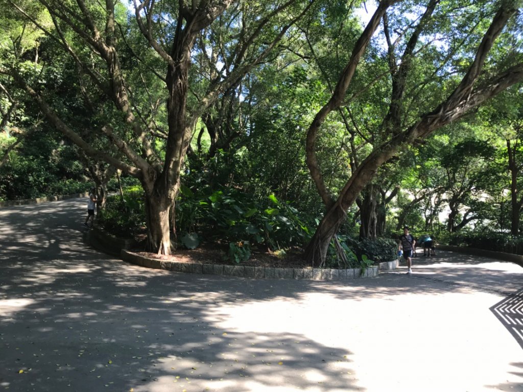 2023新北市新莊區青年公園步道、樟腦寮步道上林口A7_2209705