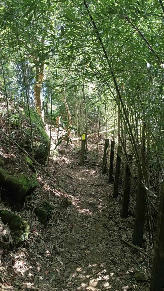 20251004 馬那邦山 - 珠湖 登山口_2904915