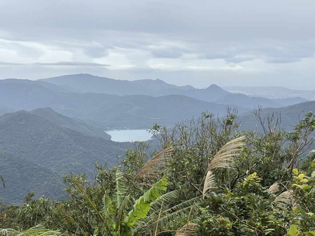 20251129女仍山步道_2951814
