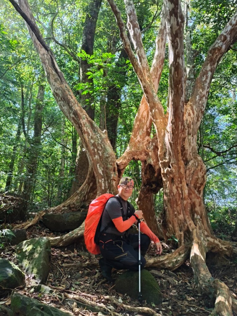 貴妃那結P 型縱走1131012_2621920