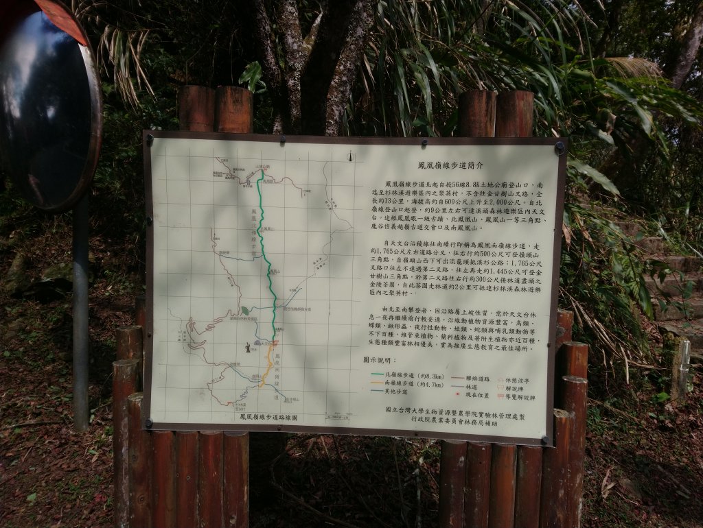 溪頭 南鳳凰山 天文台 神木O型 _869861