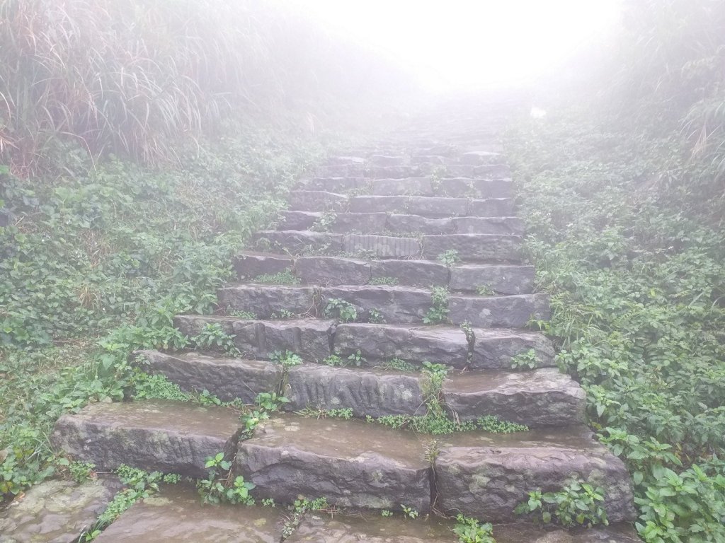 0214大霧中的茶壺山_525255