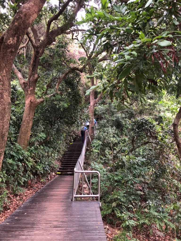 2020.04.02北柴山_900700