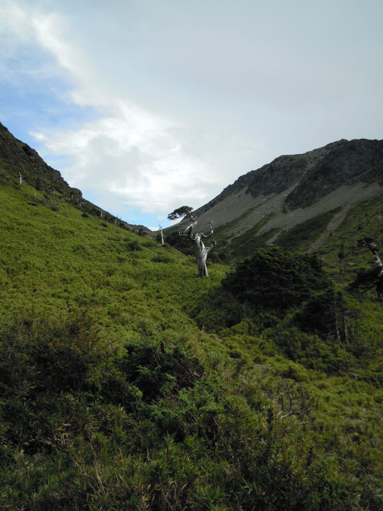 南湖群峰_南湖大山_南湖東峰__南湖北山_審馬陣山_多加屯山20140827_1960128