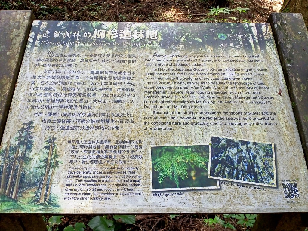 【臺北大縱走 3】擎天崗→石梯嶺→頂山→風櫃口_2106966