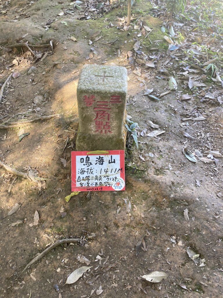 20231118-19六龜警備道_藤枝段_2353045